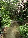 Vietnam Mekong Delta (1)